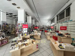 Pronájem obchodního prostoru, Teplice, Školní, 441 m2