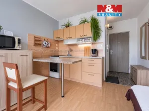 Prodej bytu 1+1, Cheb, Boženy Němcové, 36 m2