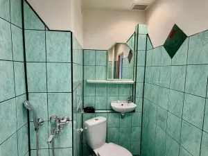 Prodej bytu 2+1, Kadaň, Chomutovská, 56 m2