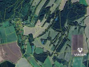 Prodej podílu lesa, Kravaře, 787 m2