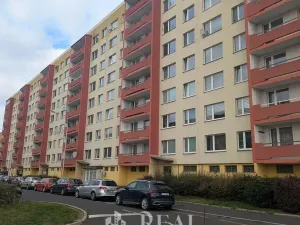 Pronájem bytu 2+kk, Most, Františka Malíka, 35 m2