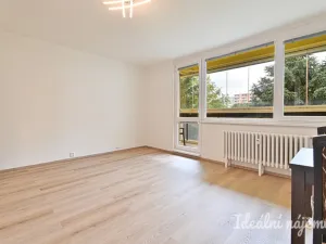 Pronájem bytu 1+kk, Brno, Moldavská, 30 m2