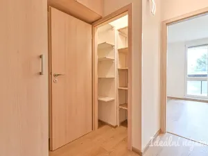 Pronájem bytu 1+kk, Brno, Moldavská, 30 m2