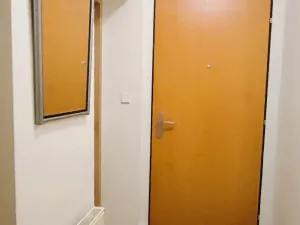 Pronájem bytu 1+kk, Ostrava, Verdunská, 45 m2