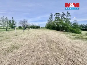 Prodej zahrady, Drnholec, 832 m2