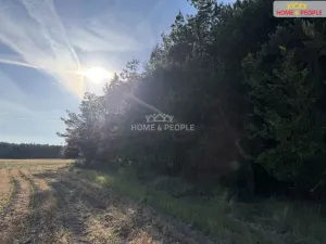 Prodej lesa, Háje, 4000 m2