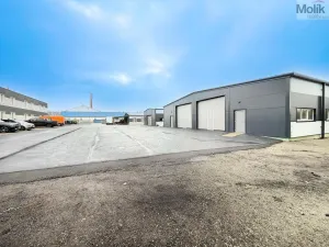 Pronájem skladu, Košťany, Kamenný Pahorek, 250 m2
