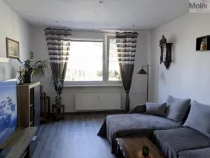 Pronájem bytu 2+1, Duchcov, V Domkách, 60 m2