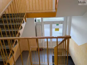 Pronájem bytu 2+1, Duchcov, V Domkách, 60 m2
