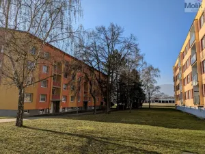 Pronájem bytu 2+1, Duchcov, V Domkách, 60 m2