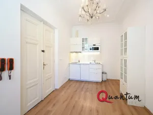 Pronájem bytu 2+1, Praha - Staré Město, Rybná, 55 m2