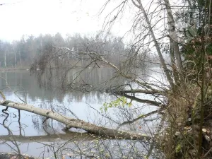 Prodej pozemku, Blatná, Na Příkopech, 3100 m2