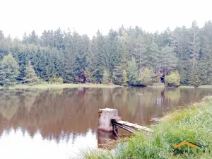 Prodej zemědělské usedlosti, Horní Radouň - Starý Bozděchov, 2600 m2