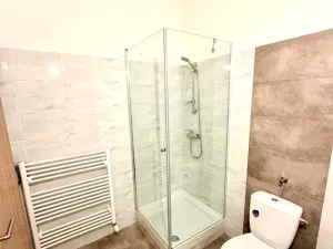 Pronájem bytu 2+1, Janovice nad Úhlavou, Rozvojová zóna, 80 m2