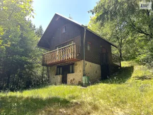 Prodej chaty, Ostrovec-Lhotka - Ostrovec, 31 m2