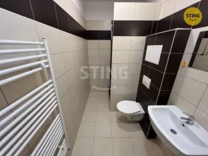 Pronájem bytu 1+kk, Opava, Hviezdoslavova, 25 m2