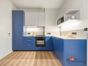 Prodej bytu 1+kk, Praha - Vinohrady, náměstí Jiřího z Lobkovic, 44 m2