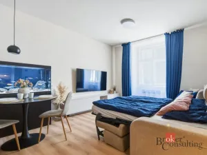 Prodej bytu 1+kk, Praha - Vinohrady, náměstí Jiřího z Lobkovic, 44 m2