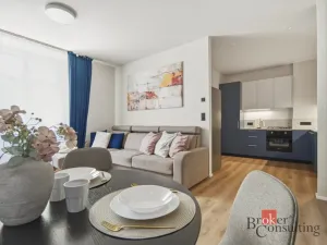 Prodej bytu 1+1, Praha - Vinohrady, náměstí Jiřího z Lobkovic, 44 m2