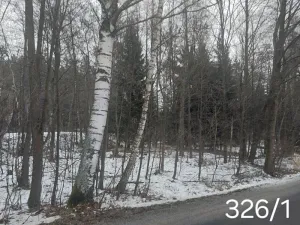 Prodej lesa, Dívčí Kopy, 1620 m2