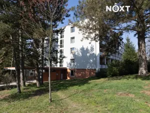 Pronájem bytu 1+1, Zlín, Družstevní, 35 m2