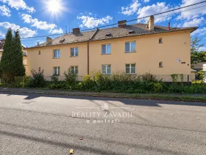 Pronájem bytu 1+1, Český Těšín, Na Olšinách, 55 m2