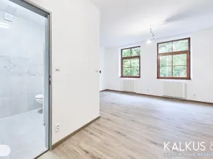 Prodej vily, Svoboda nad Úpou, Nový svět, 490 m2