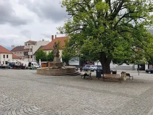Pronájem obchodního prostoru, Uherský Brod, Masarykovo nám., 50 m2