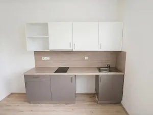 Pronájem bytu 2+kk, Syrovice, 48 m2
