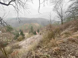 Dražba louky, Ryjice, 3310 m2