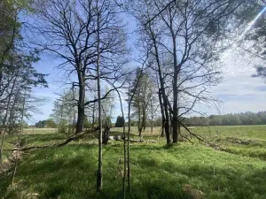 Dražba louky, Hranice, 1061 m2