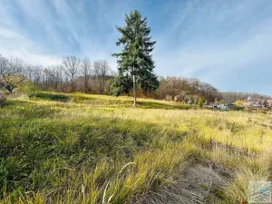 Prodej pozemku pro bydlení, Krnov, 1306 m2