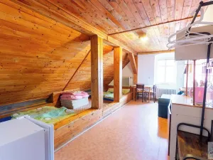 Prodej chalupy, Ludvíkov, 510 m2