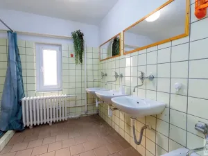 Prodej chalupy, Ludvíkov, 510 m2
