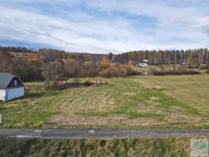 Prodej pozemku pro bydlení, Město Albrechtice, 3681 m2