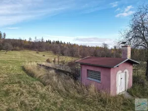 Prodej pozemku pro bydlení, Město Albrechtice, 3681 m2