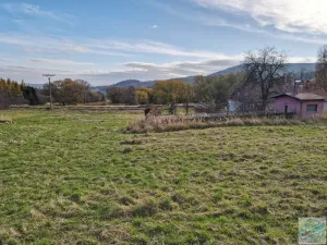 Prodej pozemku pro bydlení, Město Albrechtice, 3681 m2