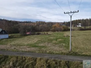 Prodej pozemku pro bydlení, Město Albrechtice, 3681 m2