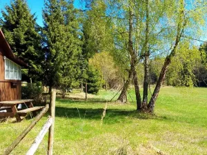 Prodej chaty, Červená Řečice - Těchoraz, 46 m2
