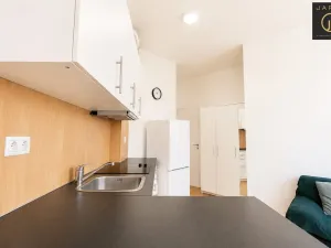 Pronájem bytu 1+kk, Praha - Libeň, Lihovarská, 25 m2