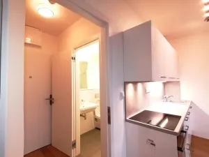 Pronájem bytu 1+kk, Praha - Vinohrady, Perucká, 27 m2
