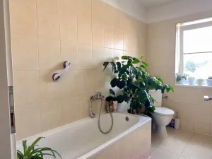 Prodej činžovního domu, Veselí nad Lužnicí, Malé náměstí, 303 m2