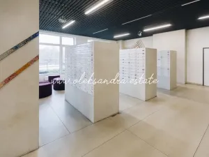 Pronájem bytu 1+kk, Praha - Vysočany, Freyova, 32 m2