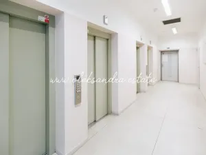 Pronájem bytu 1+kk, Praha - Vysočany, Freyova, 32 m2