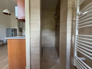 Pronájem bytu 2+1, Praha - Žižkov, Hartigova, 65 m2
