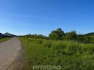 Prodej pozemku pro bydlení, Vranová, 10000 m2