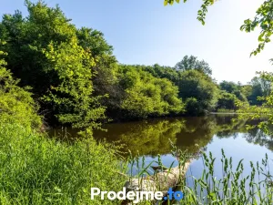 Prodej pozemku pro bydlení, Písečné - Marketa, 16909 m2