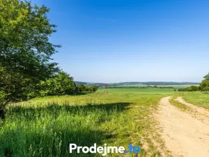 Prodej pozemku pro bydlení, Písečné - Marketa, 16909 m2