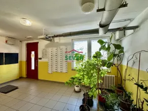 Prodej bytu 1+kk, Most, Pod Šibeníkem, 32 m2