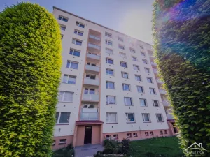 Prodej bytu 1+1, Jihlava, Ortenova, 33 m2